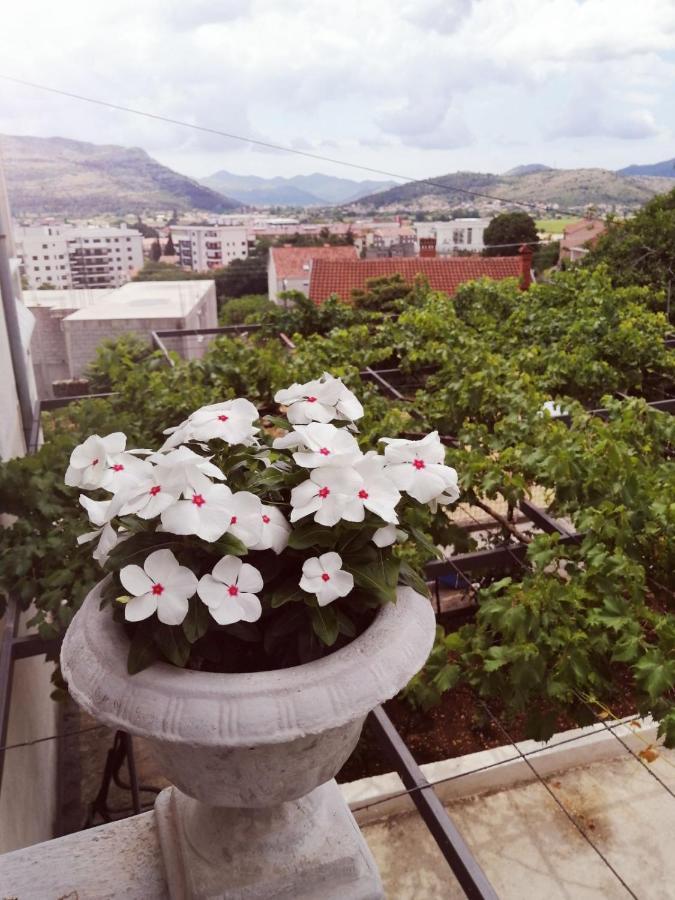 Nemanja Lägenhet Trebinje Exteriör bild